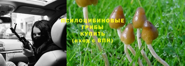 таблы Саяногорск
